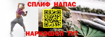 дмт Новокубанск