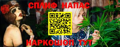 дмт Новокубанск