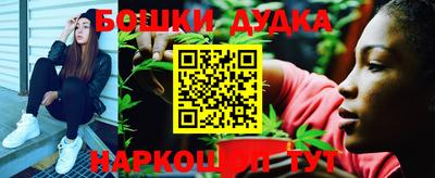 дмт Новокубанск