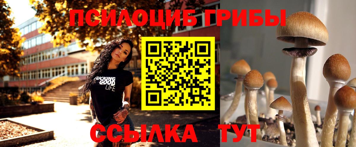 Галлюциногенные грибы мухоморы Тихорецк