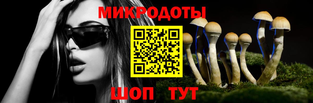 Галлюциногенные грибы MAGIC MUSHROOMS  Вход с VPN  Тихорецк 